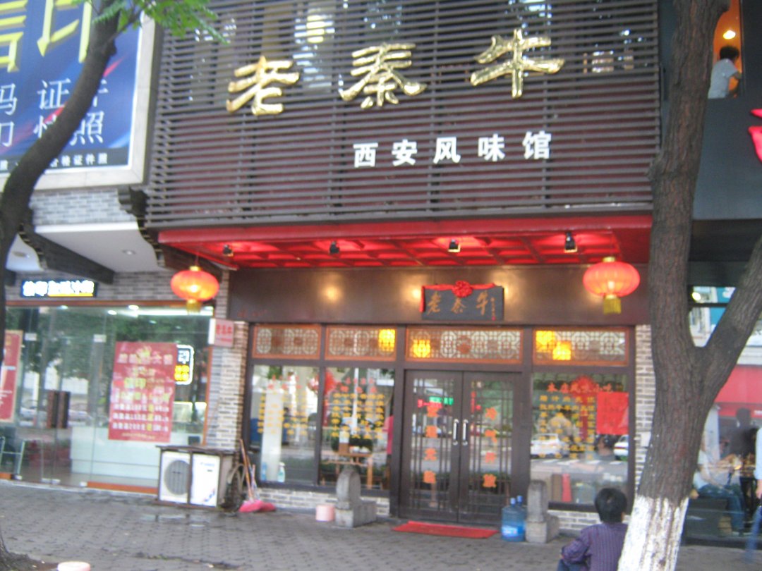老秦牛