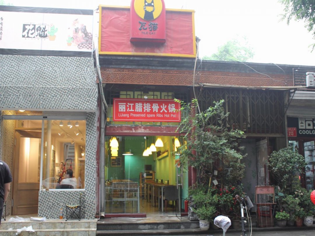 瓦猫