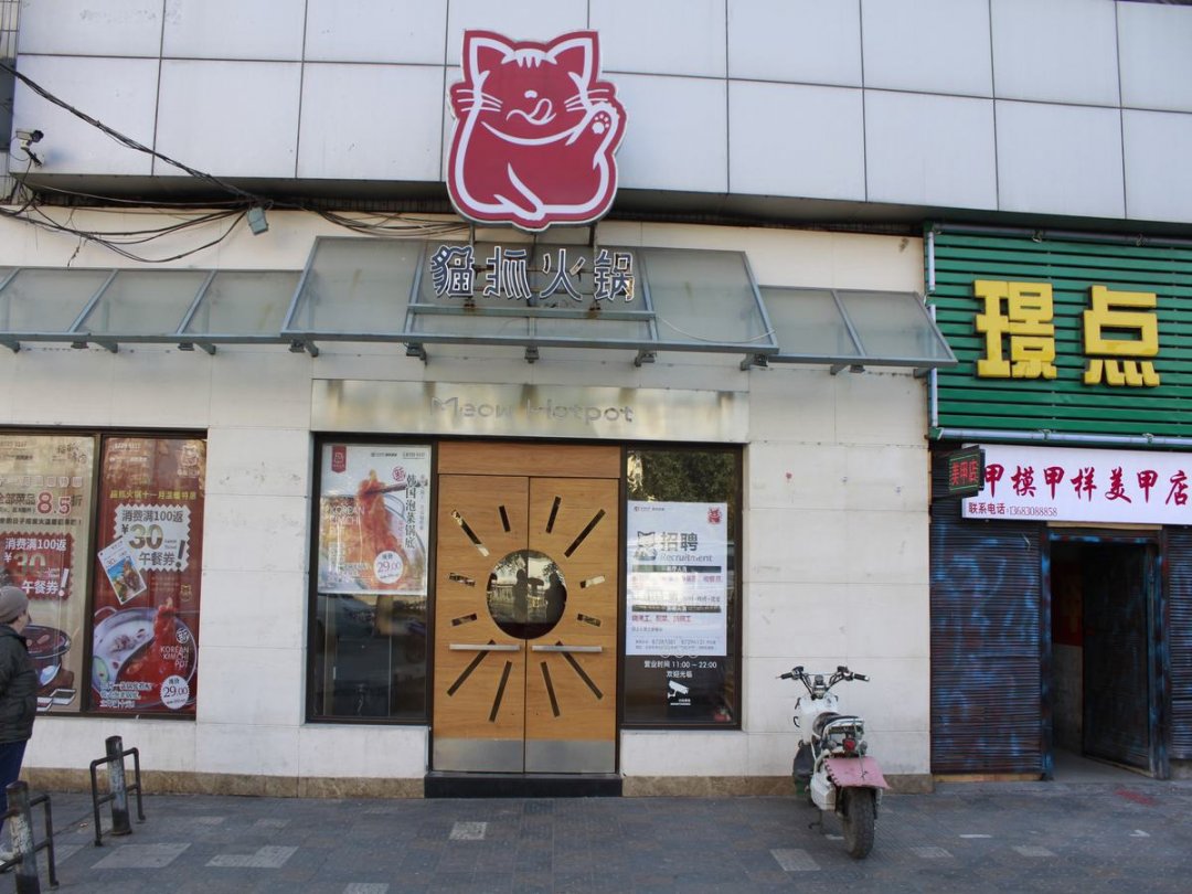 猫抓火锅