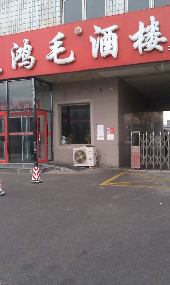 鸿毛饺子