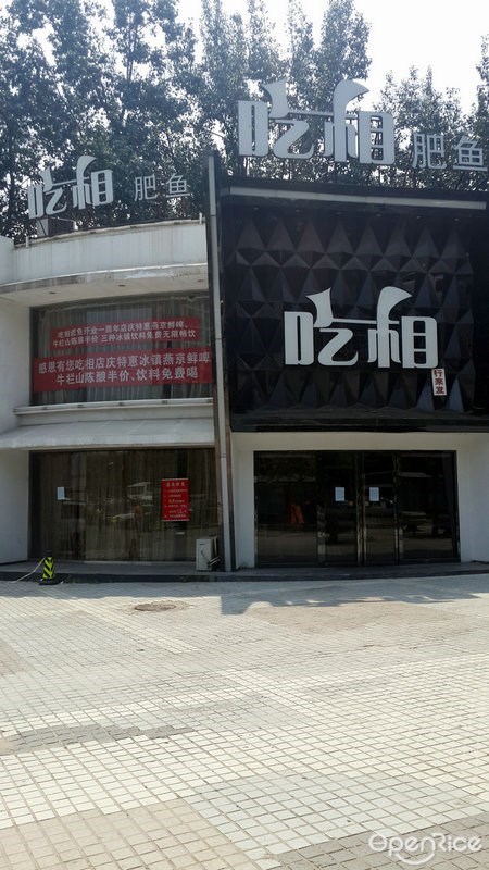 吃相肥鱼