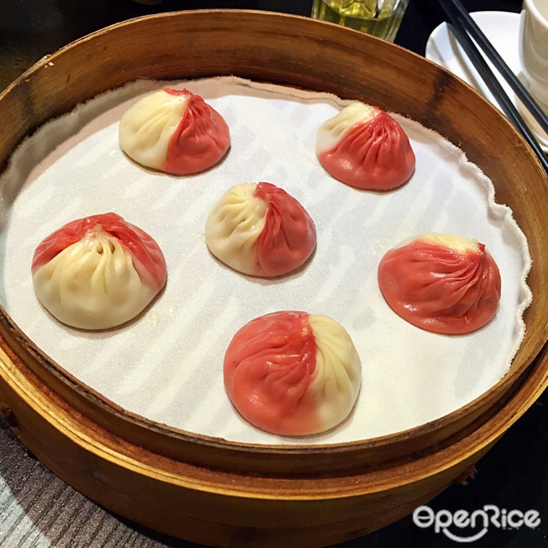 乐新皇朝
