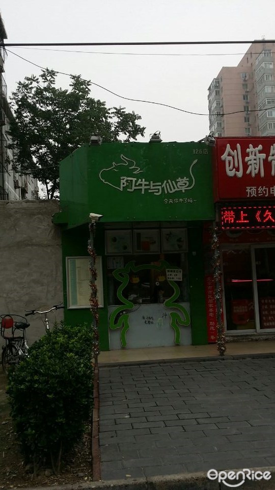 阿牛与仙草