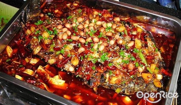 鱼众不同