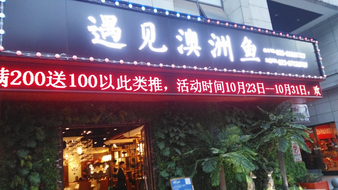 遇见澳洲鱼