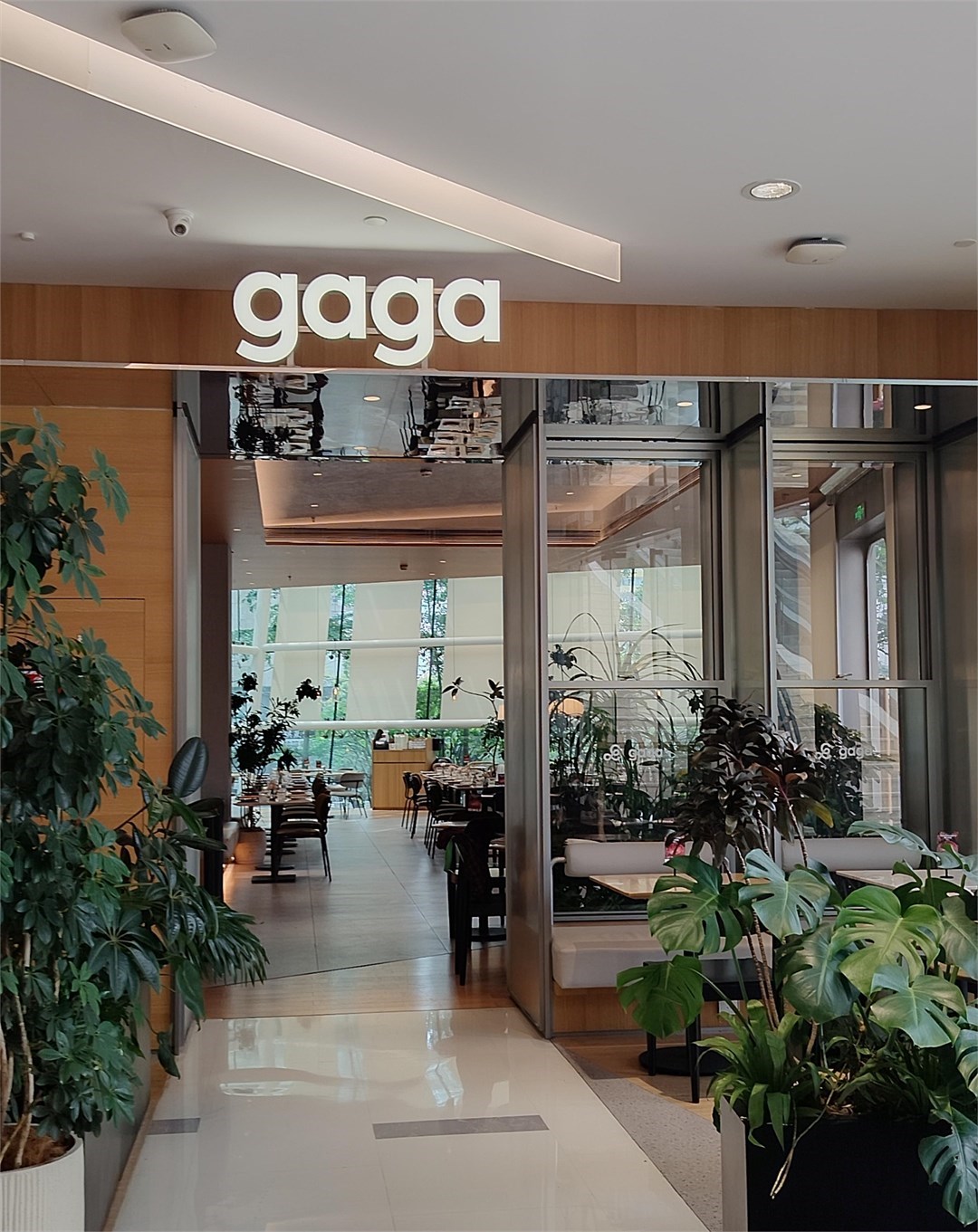 gaga (中航城君尚)