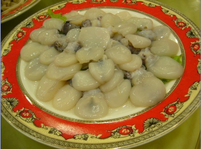 正 墨鱼仔