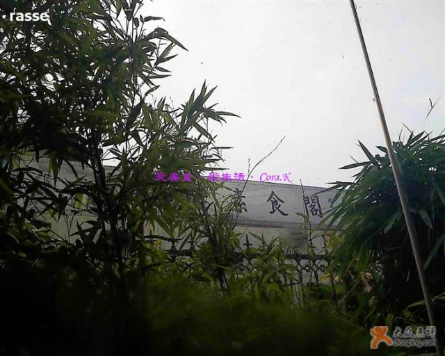 坐在窗口看花园