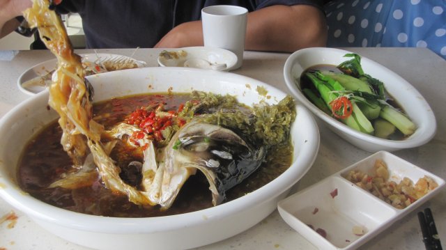 鸳鸯鱼头