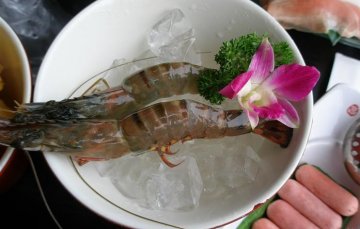 正