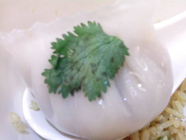 好大一只