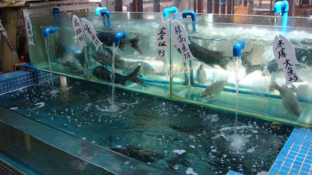 海鲜池