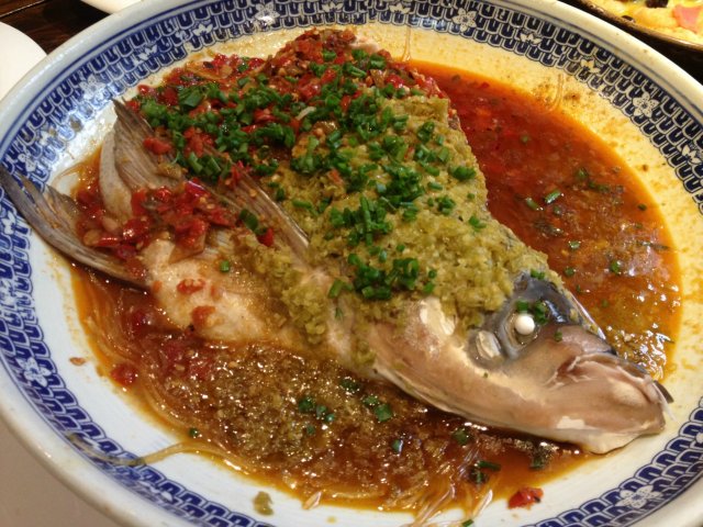 双色鱼头