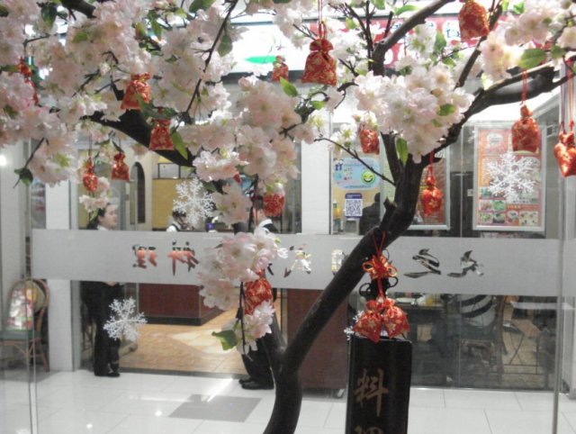 樱花树