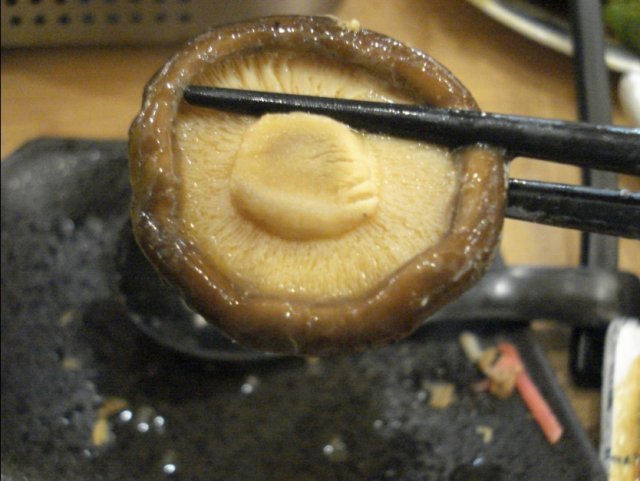 香菇