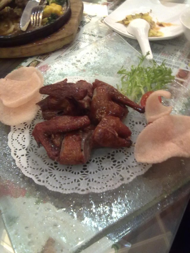 鹌鹑