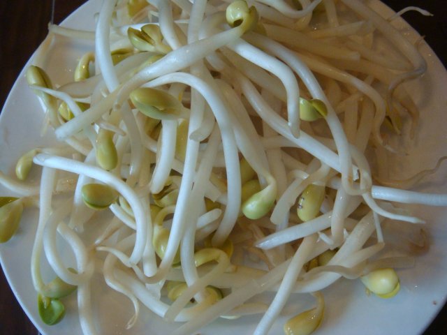 黄豆芽