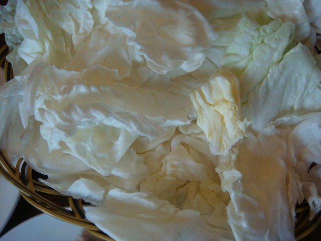 大白菜