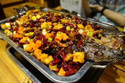 囧味鲶鱼