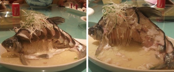 正