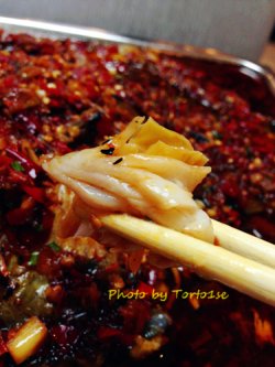 鱼肉