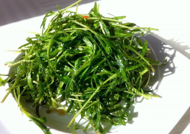 凉拌苦菊