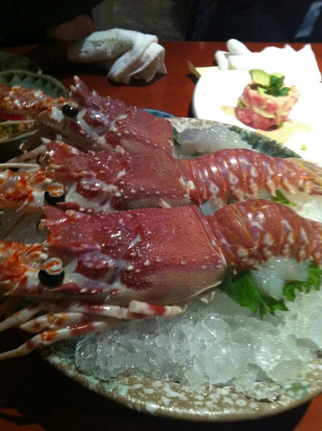 小青龙