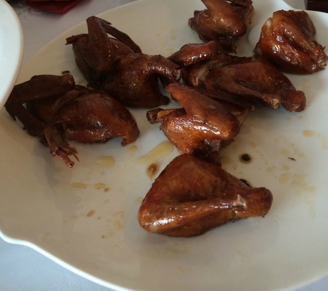 乳鸽