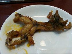 跳水美蛙