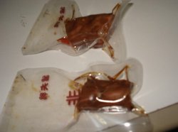 留夫鸭的鸭脖