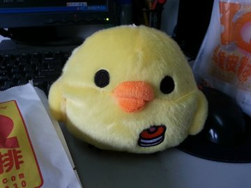 小鸡