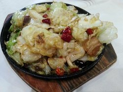 包菜