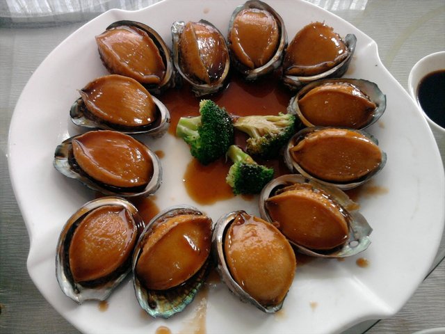 鲍鱼