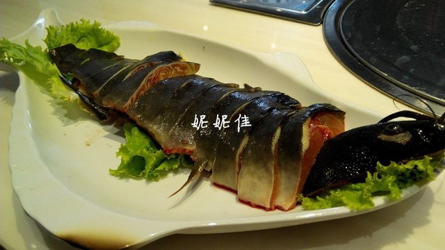 梭边鱼
