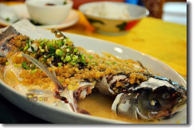 姜盐蒸山坑鲩，特价20元/条，火候够新鲜，赞