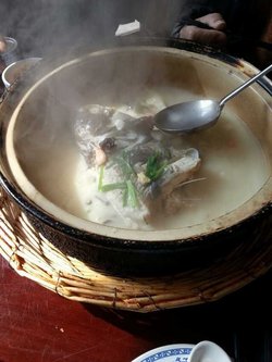 鱼头王