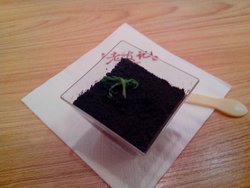 盆栽蛋糕