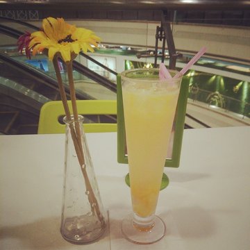 柚子茶