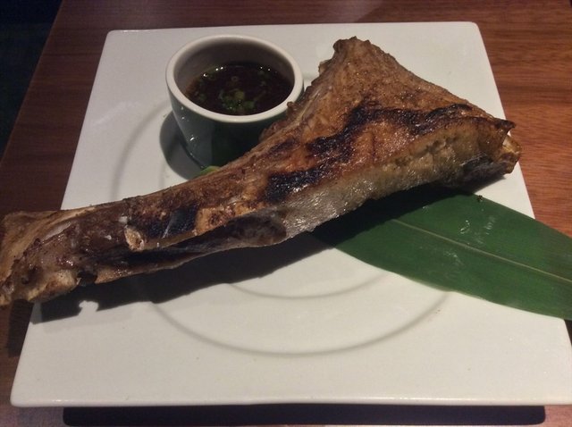 金枪鱼下巴