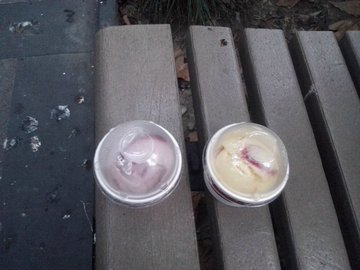 2杯小哈 蓝莓 和芒果
