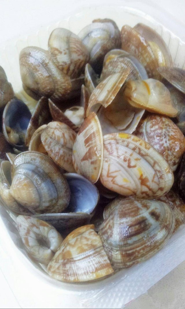 花甲