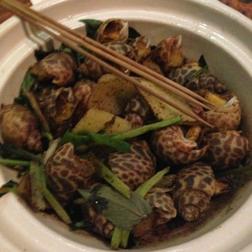 椒盐花螺