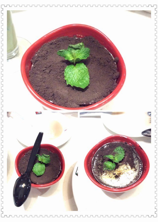 花盘提拉米苏