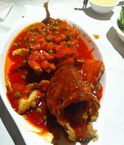 松鼠桂鱼