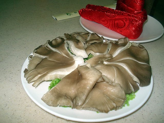 平菇