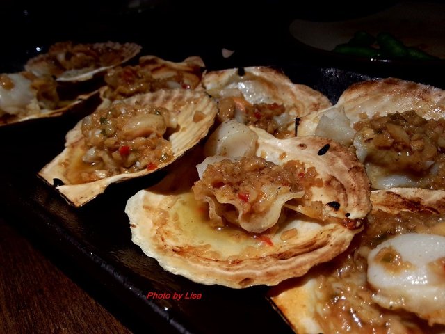 扇贝