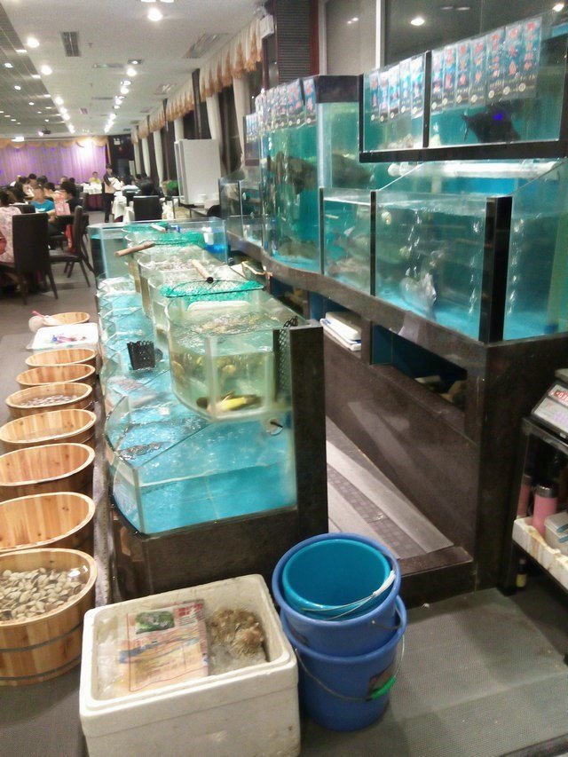 海鲜区