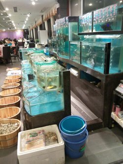 海鲜区