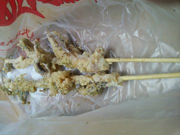 鱿鱼须