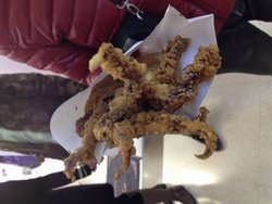 轰炸大鱿鱼